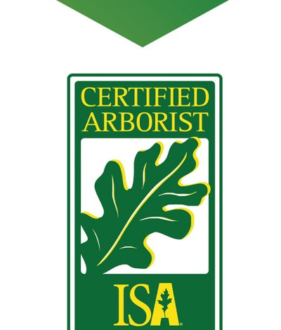 ISA Certified Arborist