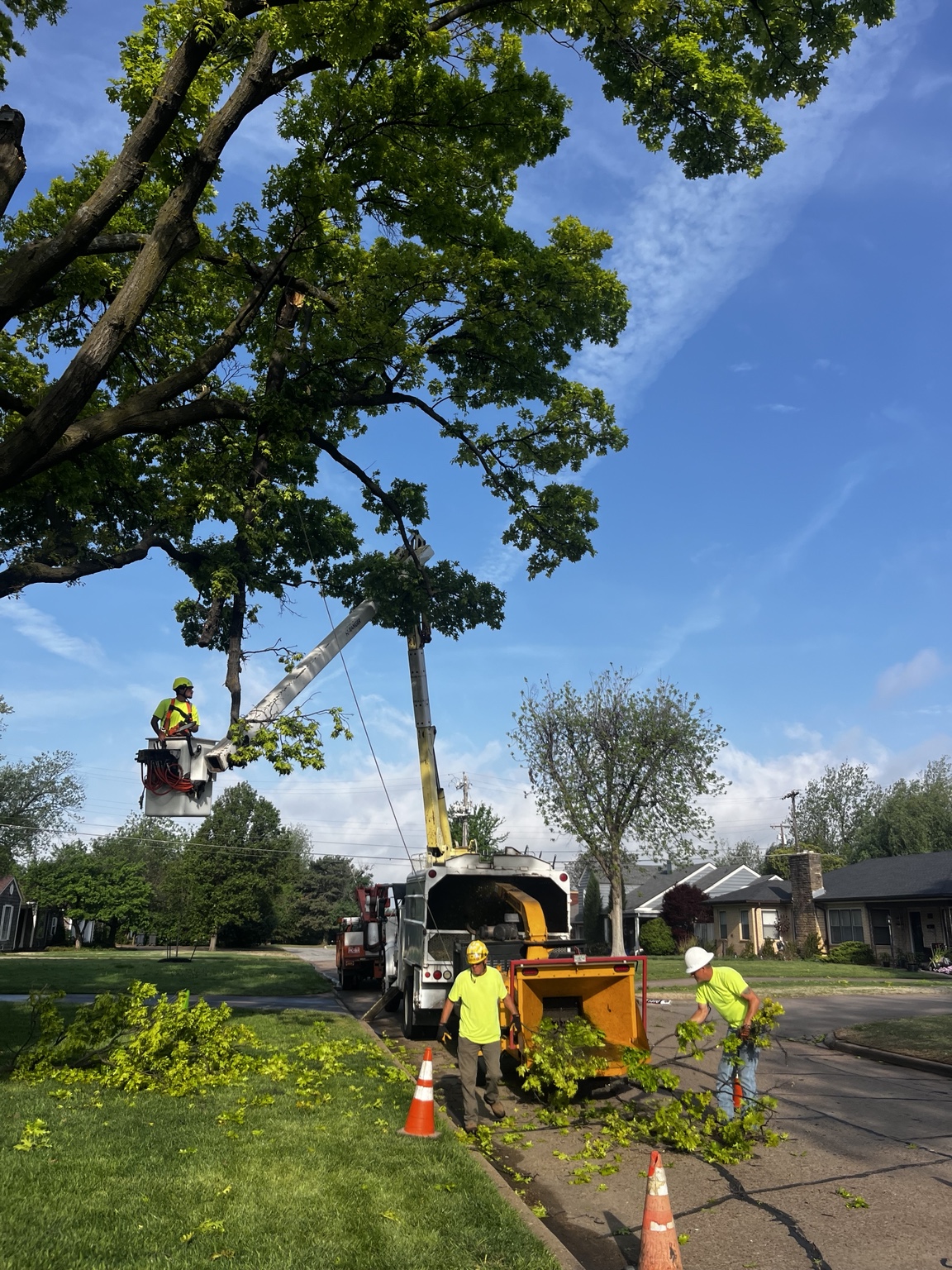 Jennings Tree Service crew performing professional tree care in Enid, Oklahoma